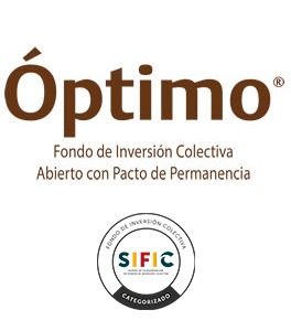 Logo Optimo Pyme