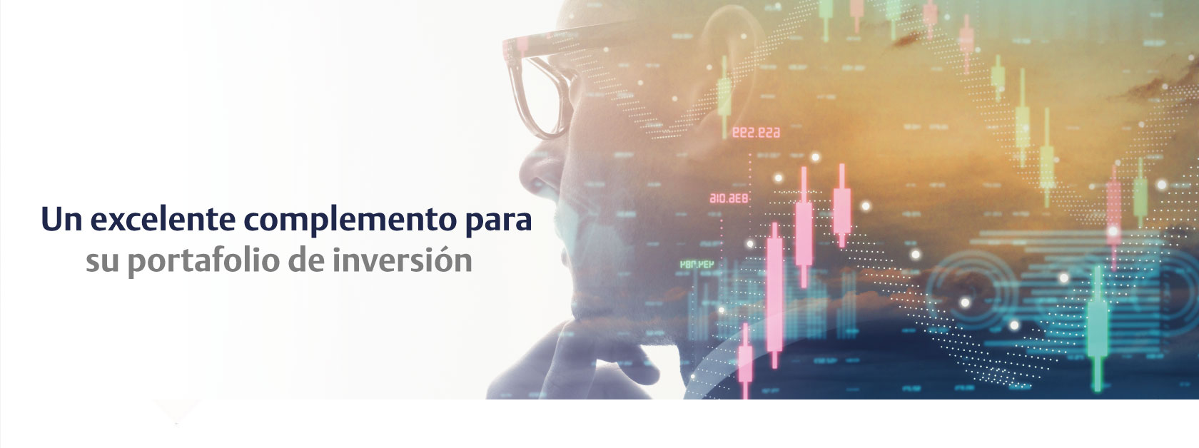 Banner empresas portafolios de inversión altarenta